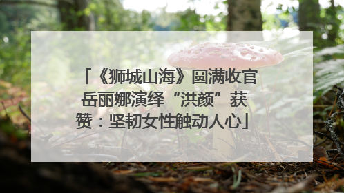 《狮城山海》圆满收官 岳丽娜演绎“洪颜”获赞：坚韧女性触动人心