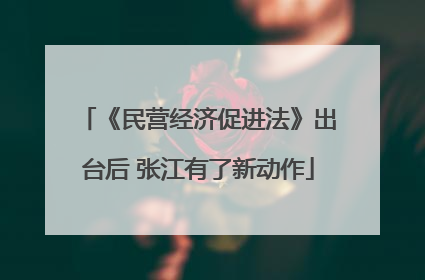 《民营经济促进法》出台后 张江有了新动作