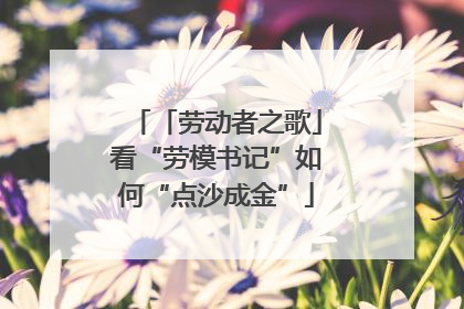 「劳动者之歌」看“劳模书记”如何“点沙成金”