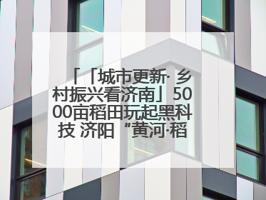 「城市更新· 乡村振兴看济南」5000亩稻田玩起黑科技 济阳“黄河·稻乡湾”靠“非遗+露营”火出圈