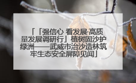 「强信心 看发展·高质量发展调研行」植树固沙护绿洲——武威市治沙造林筑牢生态安全屏障见闻