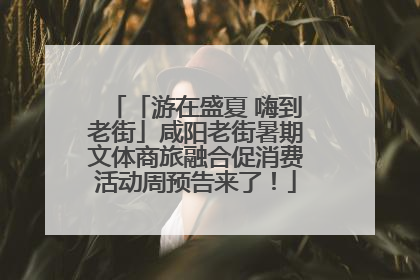 「游在盛夏 嗨到老街」咸阳老街暑期文体商旅融合促消费活动周预告来了！