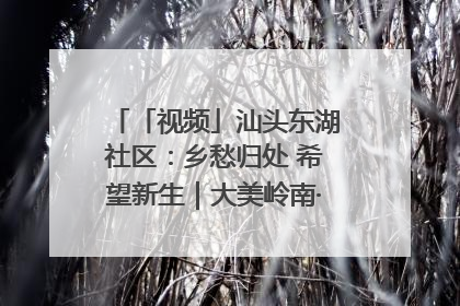 「视频」汕头东湖社区：乡愁归处 希望新生｜大美岭南·百村焕新记