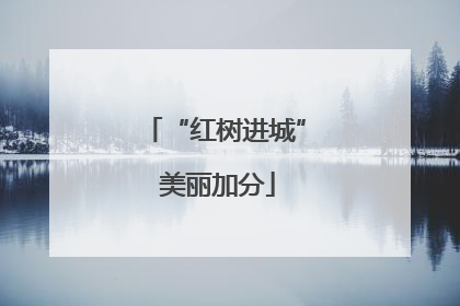 “红树进城” 美丽加分