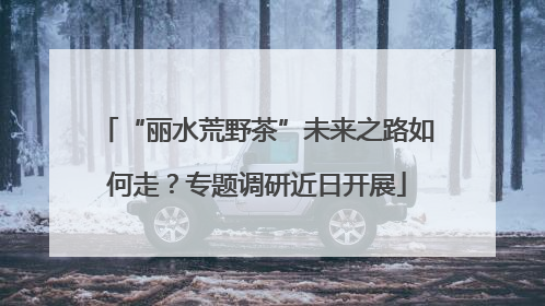 “丽水荒野茶”未来之路如何走？专题调研近日开展