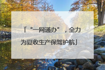 “一网通办”，全力为夏收生产保驾护航