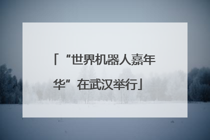 “世界机器人嘉年华”在武汉举行