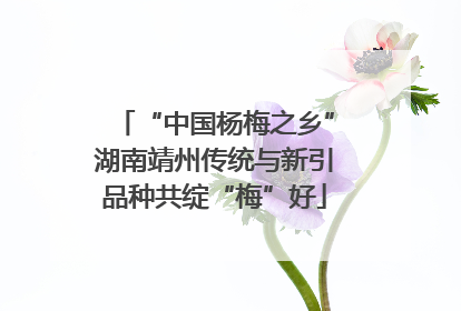 “中国杨梅之乡”湖南靖州传统与新引品种共绽“梅”好