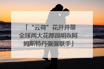“云荷”花开并蒂 全球两大花都昆明&阿姆斯特丹强强联手