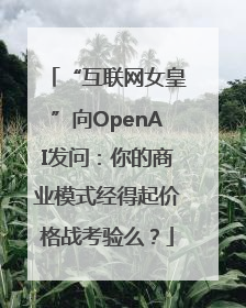 “互联网女皇”向OpenAI发问：你的商业模式经得起价格战考验么？