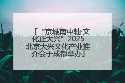 “京城南中轴·文化正大兴”2025北京大兴文化产业推介会于成都举办