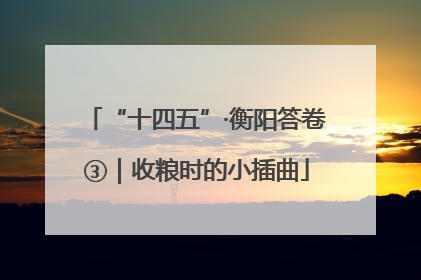 “十四五”·衡阳答卷③｜收粮时的小插曲