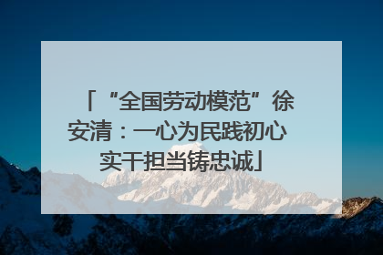 “全国劳动模范”徐安清：一心为民践初心 实干担当铸忠诚