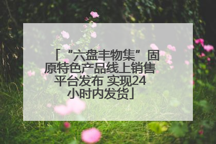 “六盘丰物集”固原特色产品线上销售平台发布 实现24小时内发货