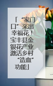 “家门口”采出幸福花！宝丰县金银花产业激活乡村“造血”功能