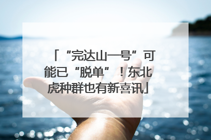“完达山一号”可能已“脱单”！东北虎种群也有新喜讯