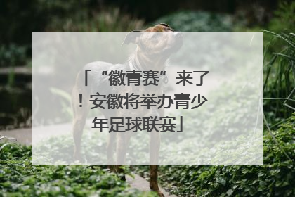 “徽青赛”来了！安徽将举办青少年足球联赛
