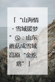 “山海情・雪域援梦”⑤：山东蘑菇成雪域高原“金疙瘩”