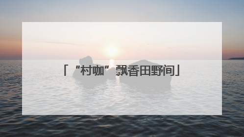 “村咖”飘香田野间