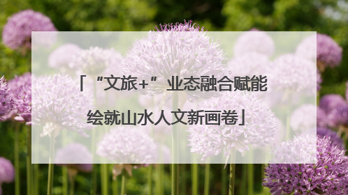 “文旅+”业态融合赋能 绘就山水人文新画卷
