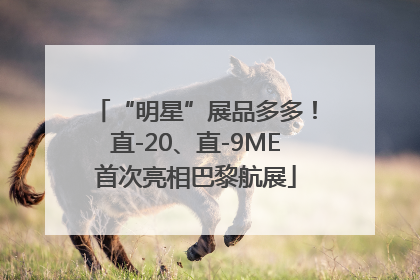 “明星”展品多多！直-20、直-9ME首次亮相巴黎航展
