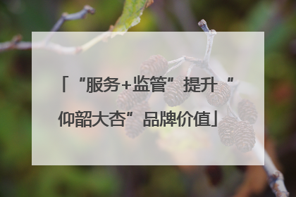 “服务+监管”提升“仰韶大杏”品牌价值