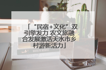 “民宿+文化”双引擎发力 农文旅融合发展激活天水市乡村游新活力