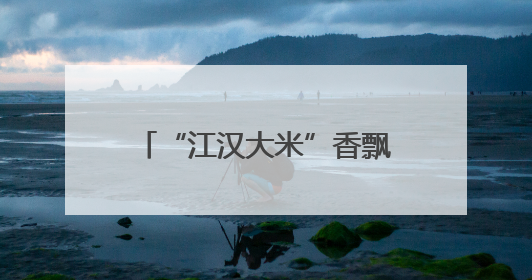 “江汉大米”香飘山城！鄂渝粮油合作签约14.7亿元