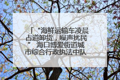 “海鲜运输车凌晨占道卸货，噪声扰民” 海口博爱街道城市综合行政执法中队：将联合交警加强长堤路一带巡逻