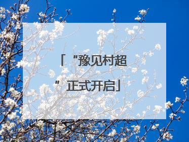 “豫见村超”正式开启