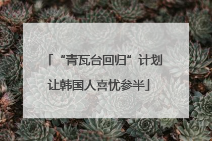 “青瓦台回归”计划让韩国人喜忧参半