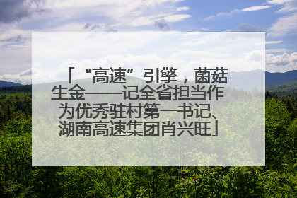“高速”引擎，菌菇生金——记全省担当作为优秀驻村第一书记、湖南高速集团肖兴旺