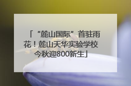 “麓山国际”首驻雨花！麓山天华实验学校今秋迎800新生