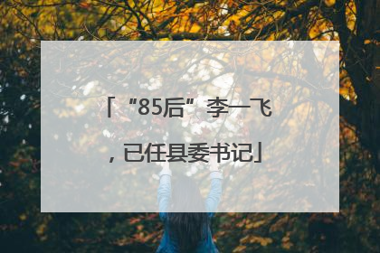 “85后”李一飞，已任县委书记