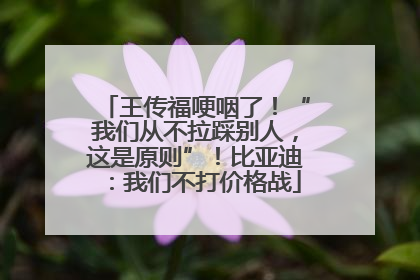 王传福哽咽了！“我们从不拉踩别人，这是原则”！比亚迪：我们不打价格战