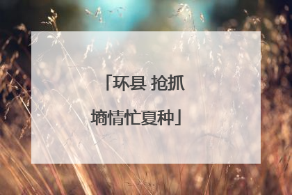 环县 抢抓墒情忙夏种
