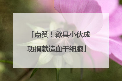 点赞！歙县小伙成功捐献造血干细胞