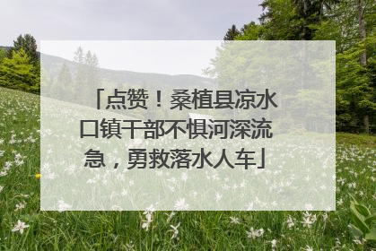 点赞！桑植县凉水口镇干部不惧河深流急，勇救落水人车
