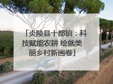 炎陵县十都镇：科技赋能农耕 绘就美丽乡村新画卷