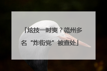 炫技一时爽？赣州多名“炸街党”被查处