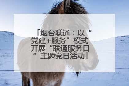 烟台联通：以“党建+服务”模式开展“联通服务日”主题党日活动