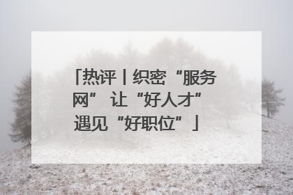 热评丨织密“服务网” 让“好人才”遇见“好职位”