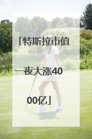 特斯拉市值一夜大涨4000亿