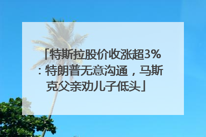 特斯拉股价收涨超3%：特朗普无意沟通，马斯克父亲劝儿子低头
