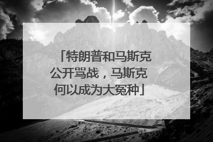 特朗普和马斯克公开骂战，马斯克何以成为大冤种