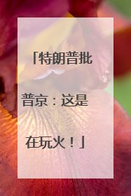 特朗普批普京：这是在玩火！