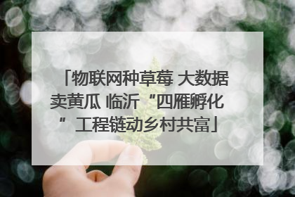 物联网种草莓 大数据卖黄瓜 临沂“四雁孵化”工程链动乡村共富