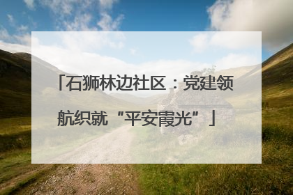 石狮林边社区：党建领航织就“平安霞光”