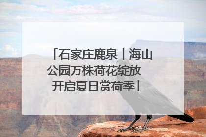 石家庄鹿泉丨海山公园万株荷花绽放 开启夏日赏荷季