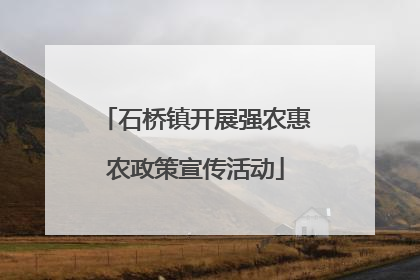 石桥镇开展强农惠农政策宣传活动